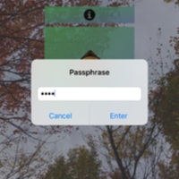 0x0ss-P3-5.jpg