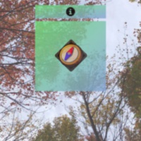 0x0ss-P3.jpg